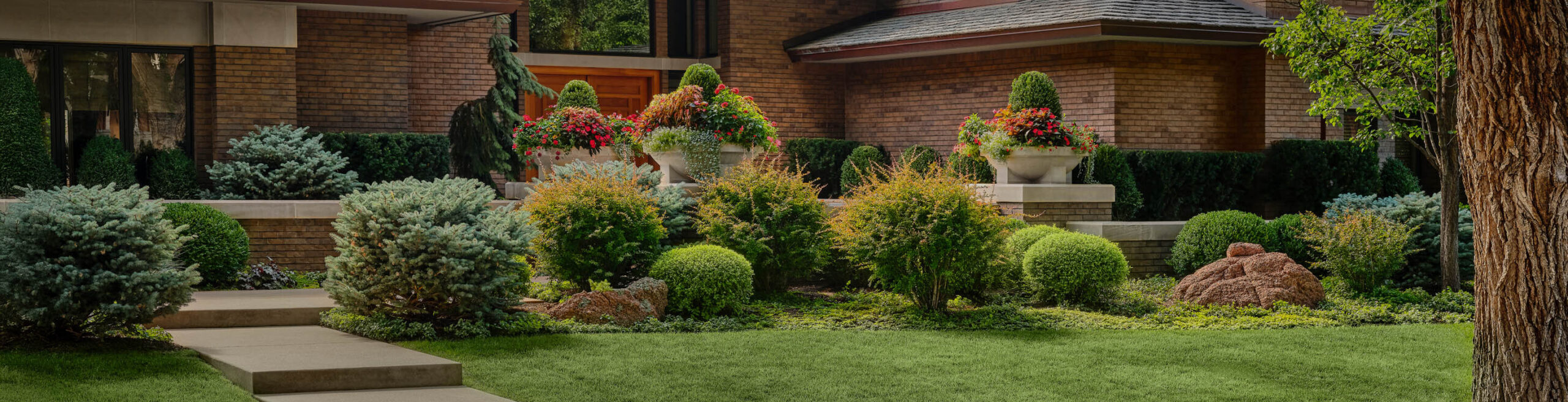 Lifescape Residential Lawn Lifescape Residential Lawn