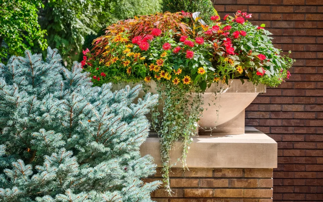 Seasonal Landscape Maintenance Guide for Colorado Homes