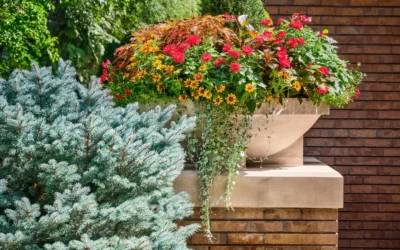 Seasonal Landscape Maintenance Guide for Colorado Homes
