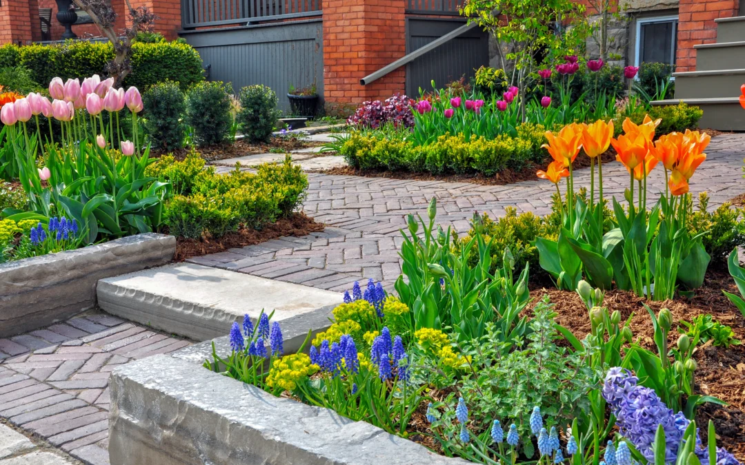 Hardscaping vs Landscaping: What Your Outdoor Space Needs