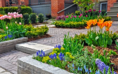 Hardscaping vs Landscaping: What Your Outdoor Space Needs