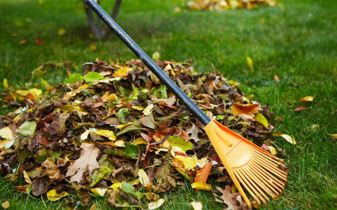 Seasonal Landscape Stewardship for Colorado Homes