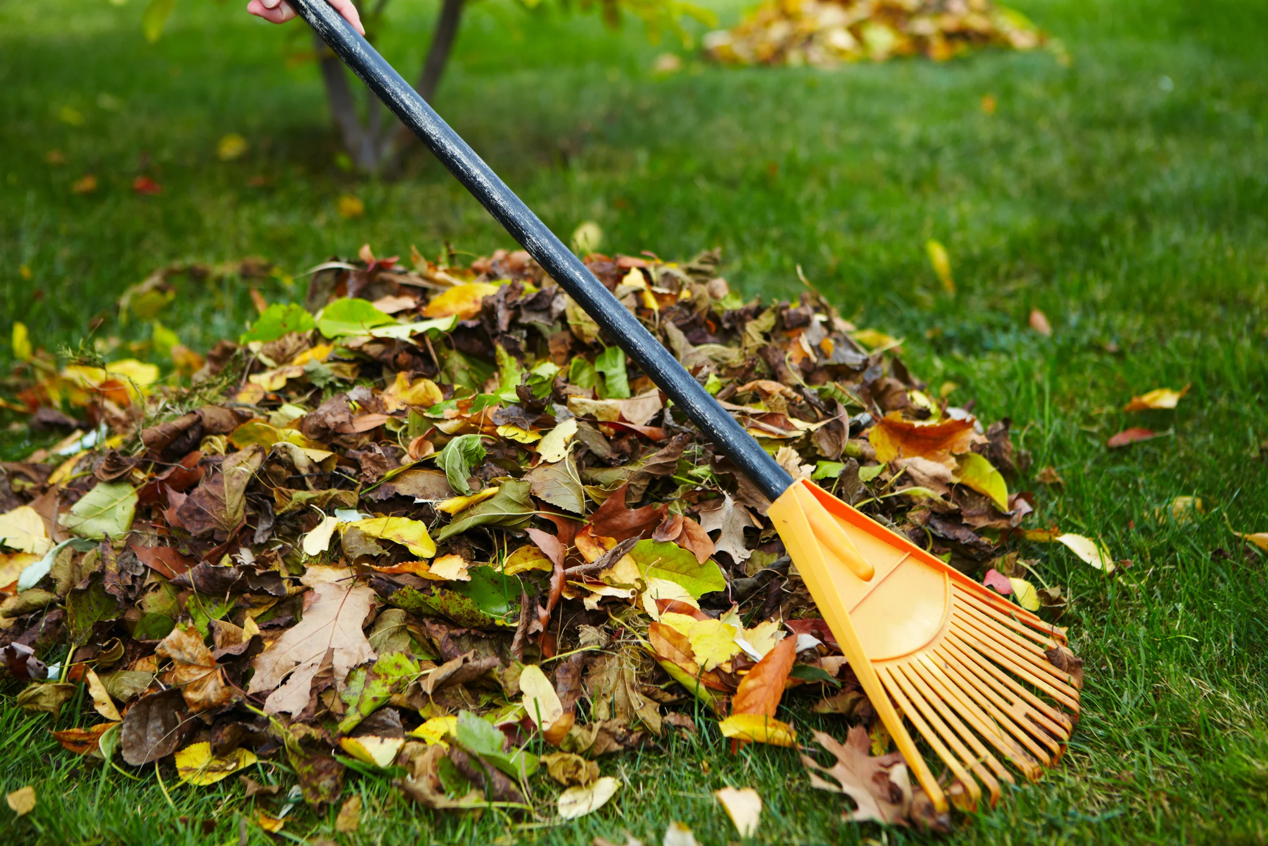 Colorado landscape maintenance