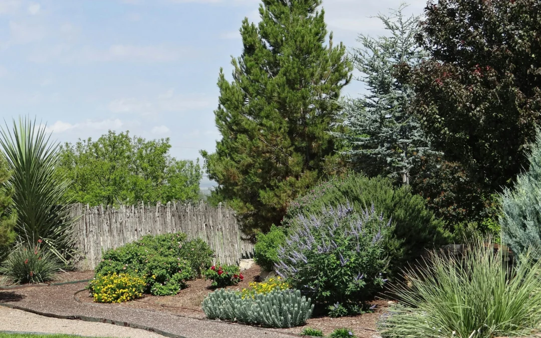 Colorado Planting Zone Map (2026): What to Plant in Denver, Boulder, and the Front Range
