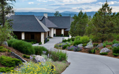 Rock vs. Mulch vs. Xeriscape Beds: What Works Best in Colorado Landscapes?