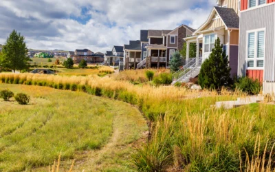 How to Keep Your Yard Alive During Denver Water Restrictions